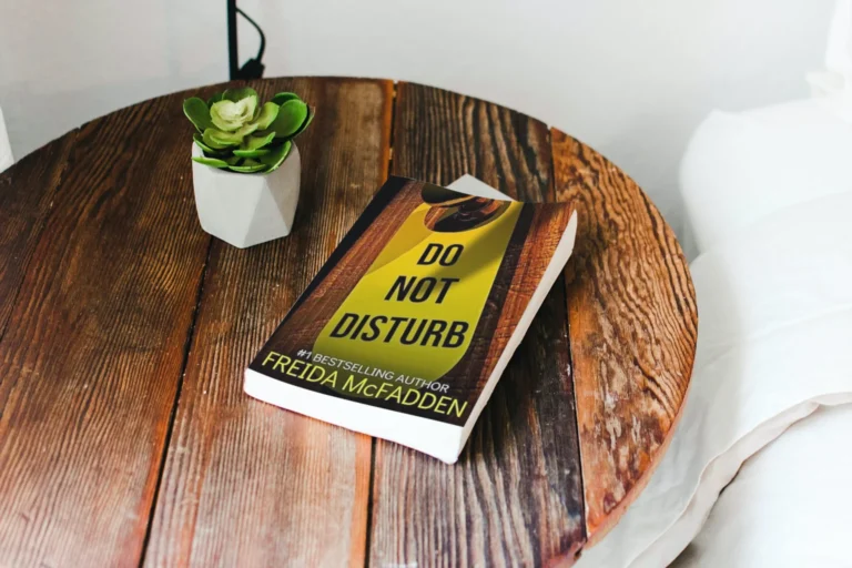 Do Not Disturb by Freida McFadden