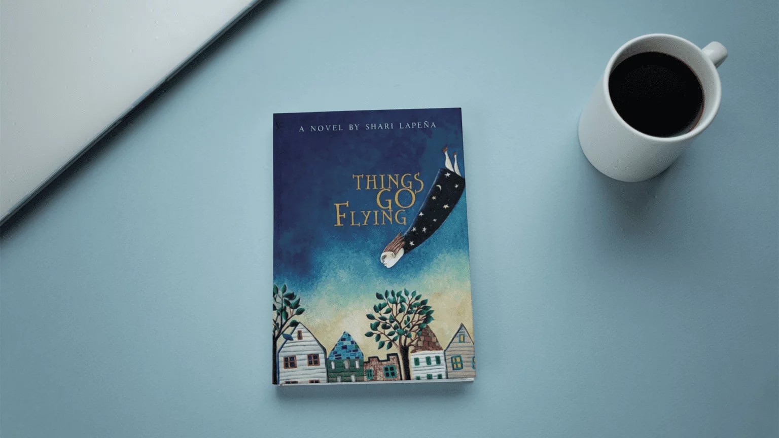 Things Go Flying by Shari Lapena - A Plethora of Secrets