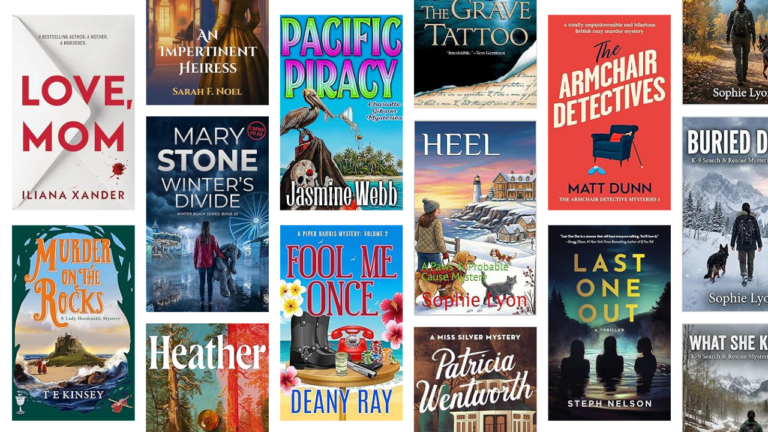 20 Amateur Sleuth Mysteries I Read This Year and Loved Every Minute